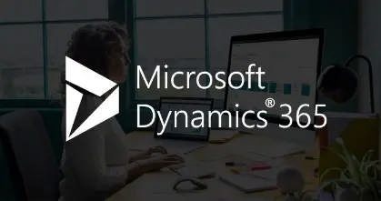 <span style='font-style: italic;'> Microsoft Dynamics ERP </span>